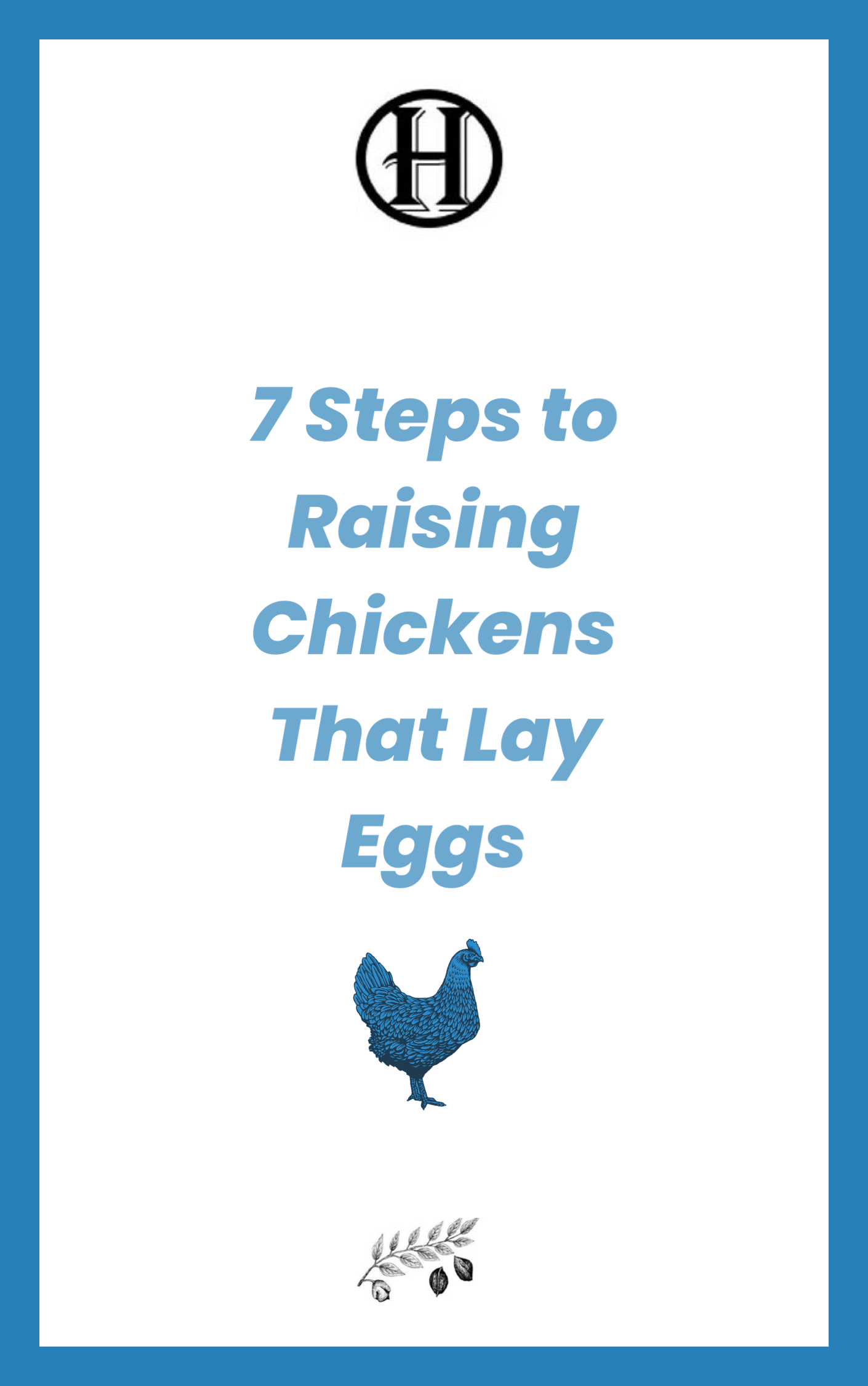 7 Steps To Raising Chickens That Lay Eggs