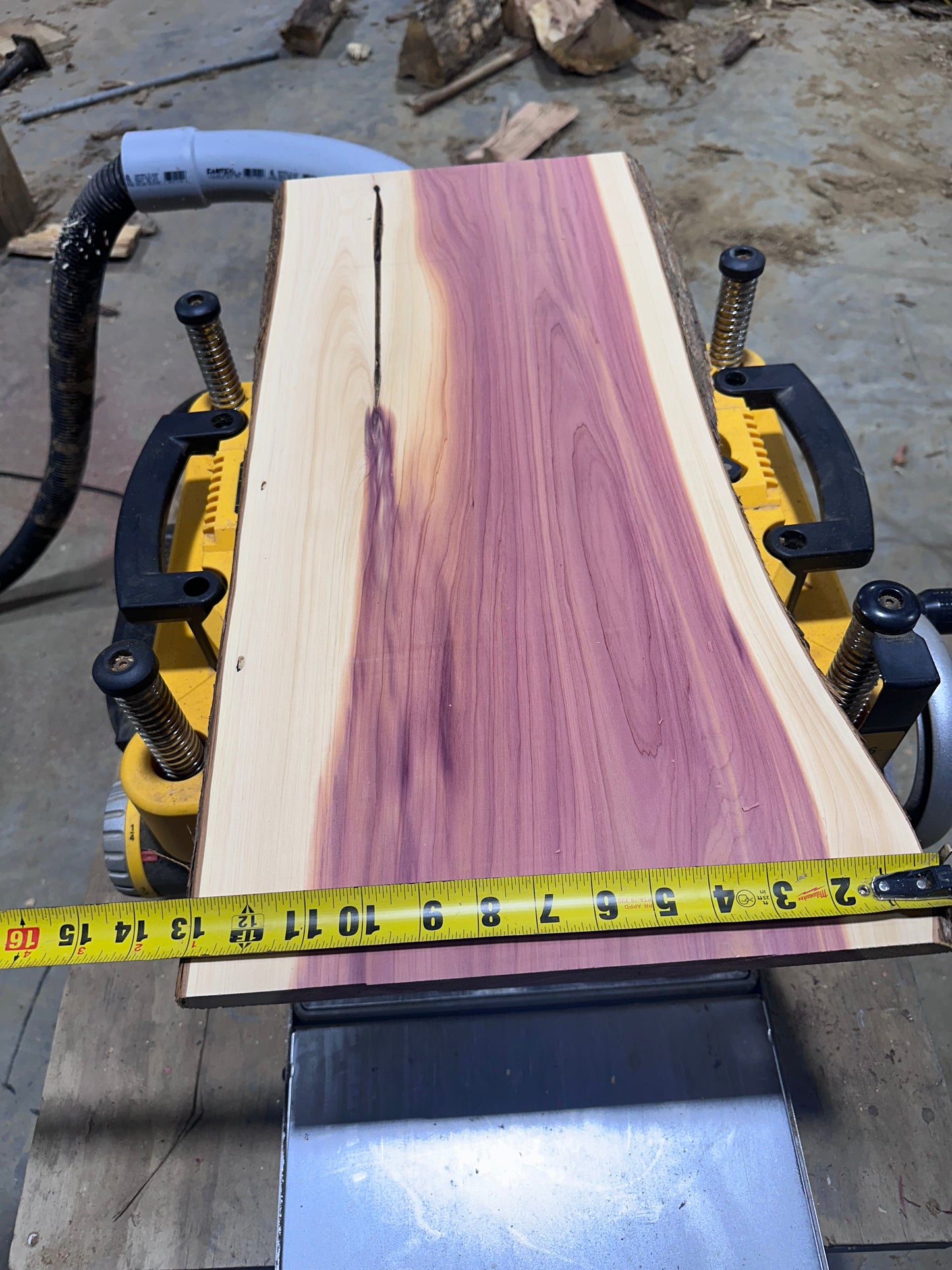 8 Eastern Red Cedar Live Edge Boards