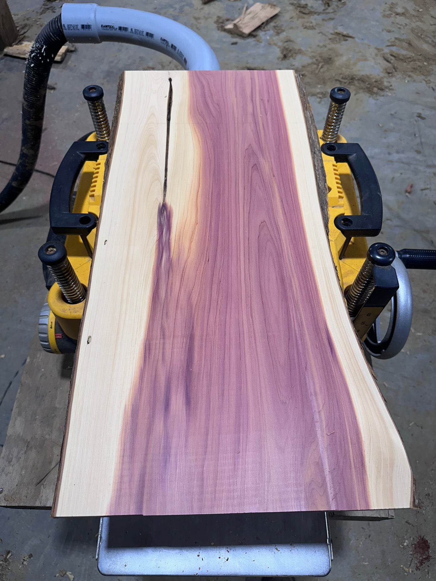 8 Eastern Red Cedar Live Edge Boards